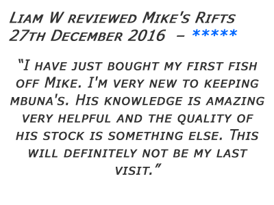 Mikes Rifts Review 2